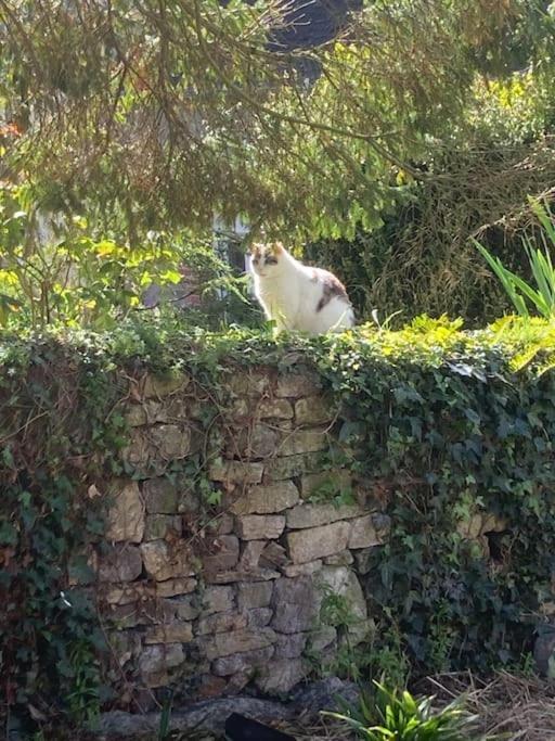 Willa Gite Au Coeur De La Suisse Normande Clécy Zewnętrze zdjęcie